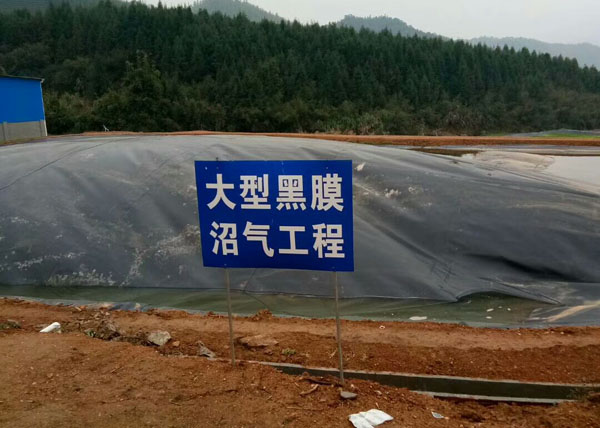 沼氣池妖精视频免费观看大全